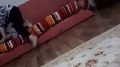 Valilikten çocuğunu döven kadın hakkında açıklama